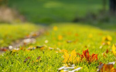 Amazon Hand Leaf Scoops Make Fall Yard Cleanup Faster and Less Physically Demanding