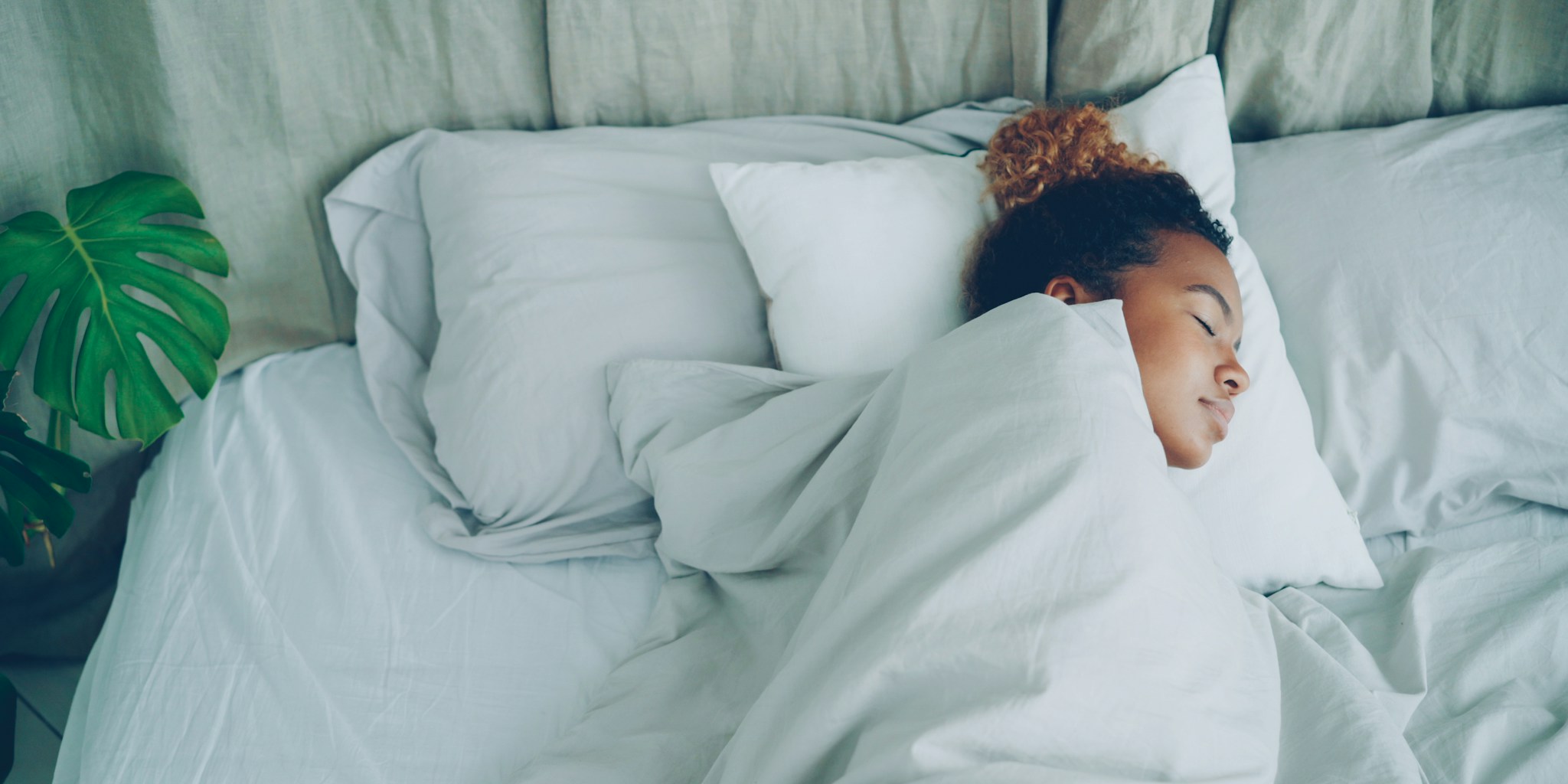 Fitbit Air vs Oura Ring 5: Which Sleep Tracker Wins