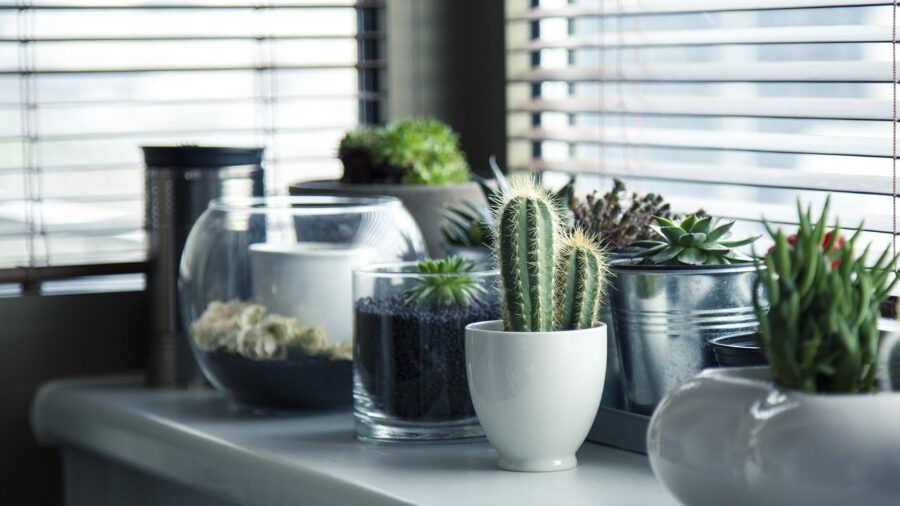 Blocked Garden Drainage Holes Before Winter: What Buyers Should Know 2 potted plants elevated on pot feet