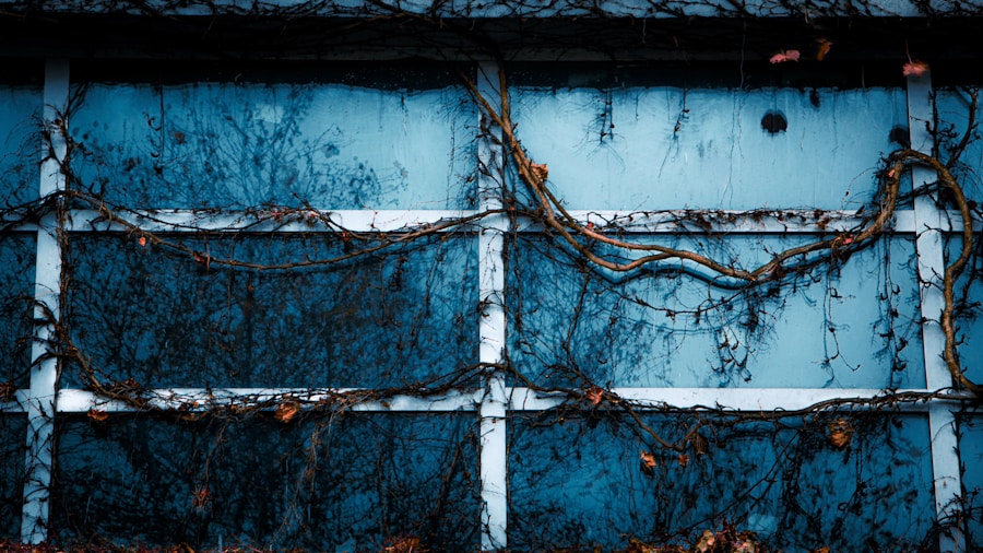 Living Curtains Are Here: A Gardener's Alternative to Fabric Window Coverings 2 potted vines climbing window frame