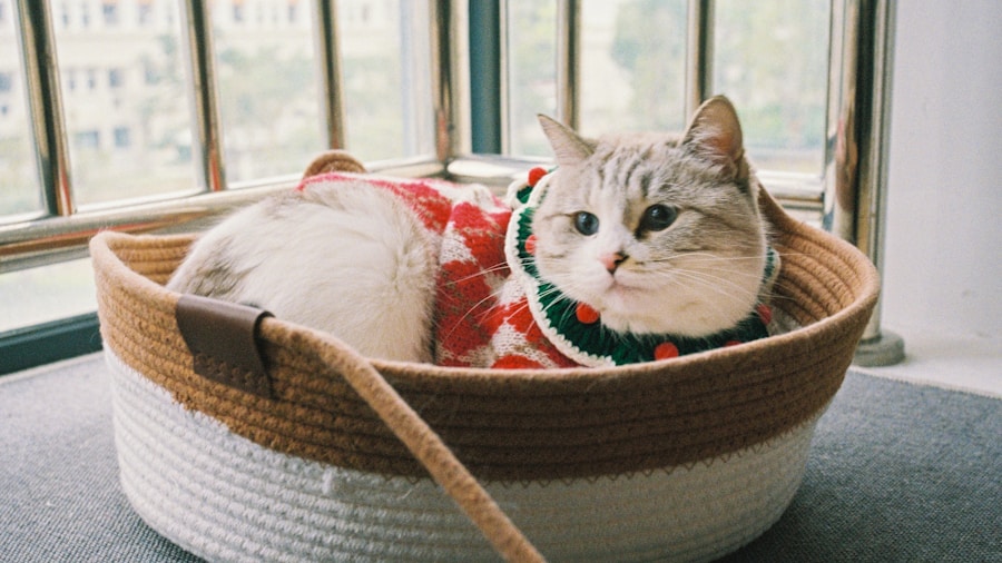 Designer Cat Scratchers Are Changing How We Think About Pet Furniture 2 premium cat lounge bed decor