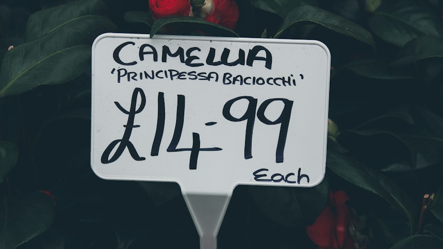 price tag closeup product label