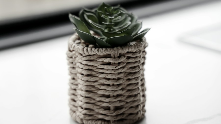 rope wrapped clay pots natural