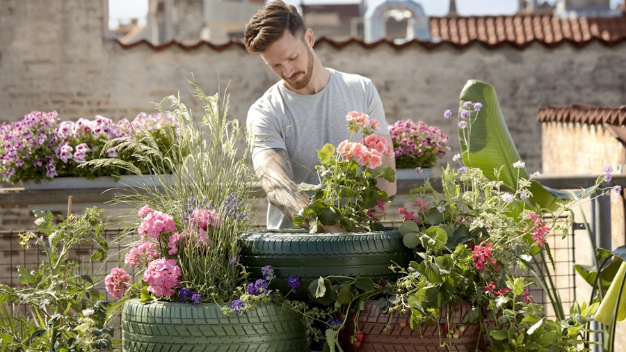 shallow pot planter summer gardening