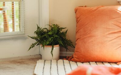 Peachy Pink Paint Colors Trending in 2027