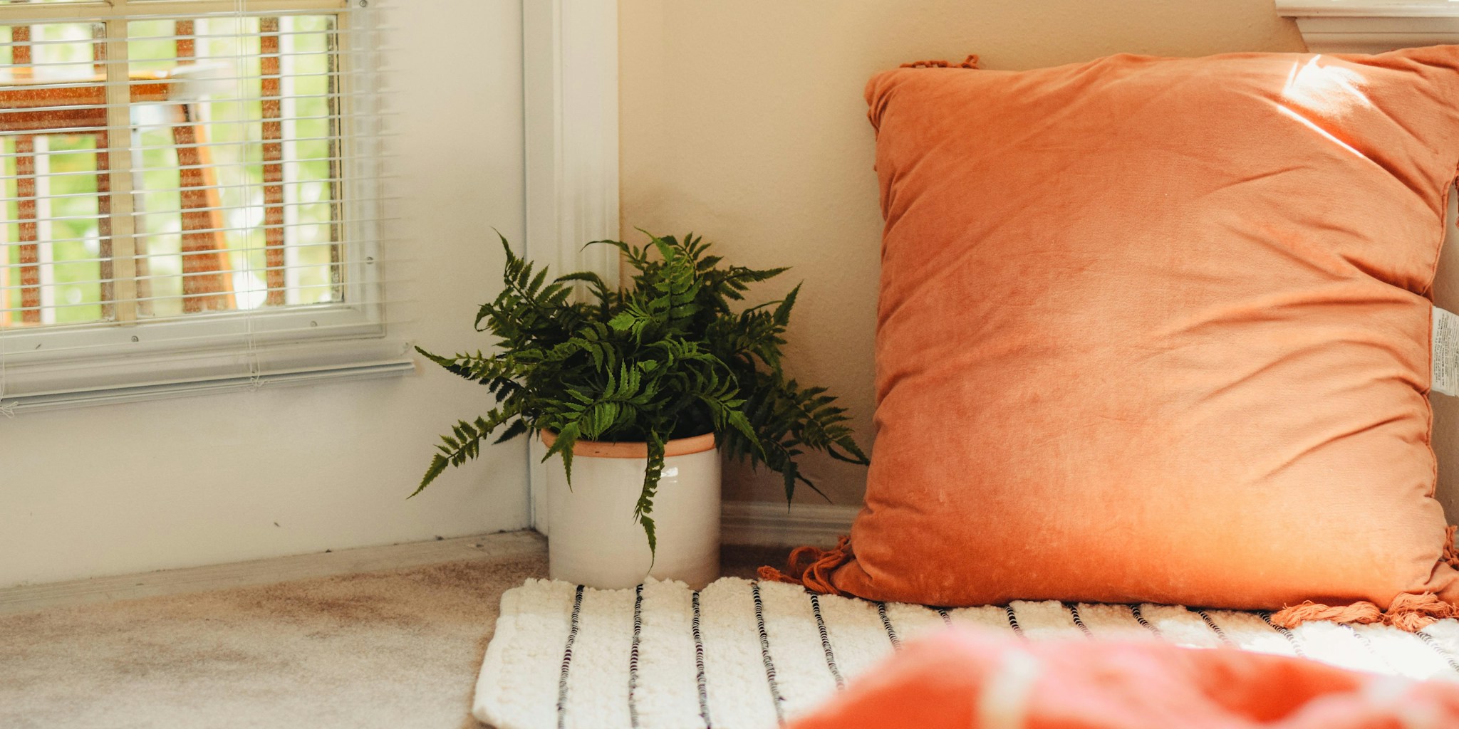 Peachy Pink Paint Colors Trending in 2027