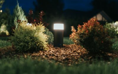 Wayfair Firework Solar Lights Sale Ends Soon: What Shoppers Need to Know
