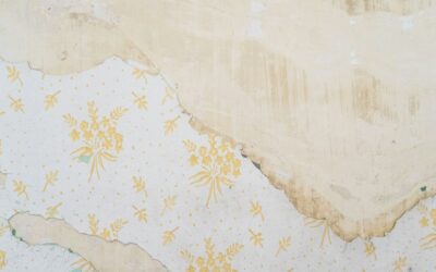 Wallpaper Removal Just Got Easier: Chemical-Free Steam Method Transforms Home Projects