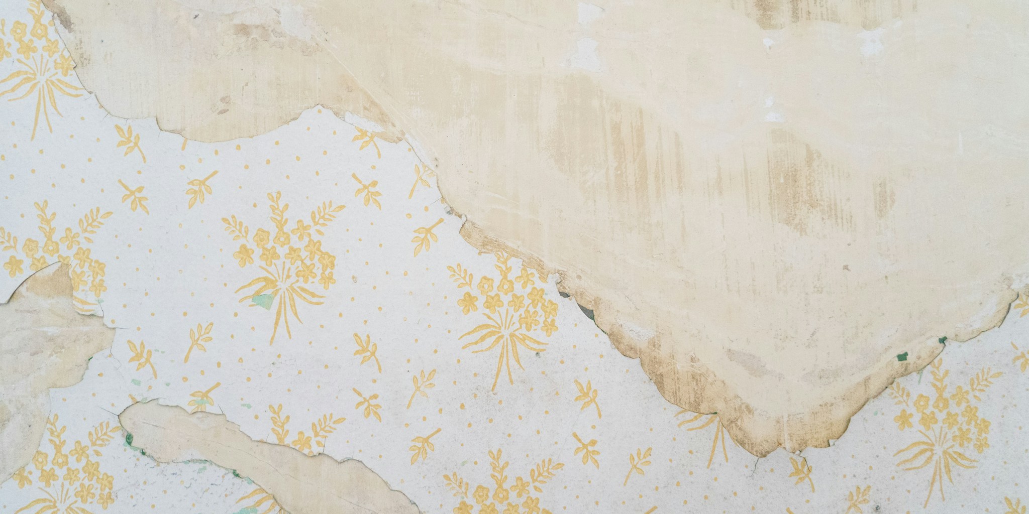 Wallpaper Removal Just Got Easier: Chemical-Free Steam Method Transforms Home Projects