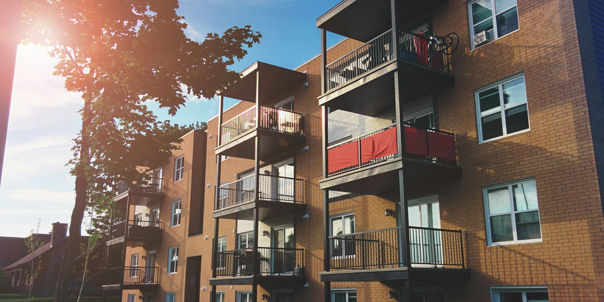3D Printer Builds Entire Student Housing Village in Denmark: What Shoppers Should Know