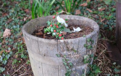 Blocked Garden Drainage Holes Before Winter: What Buyers Should Know
