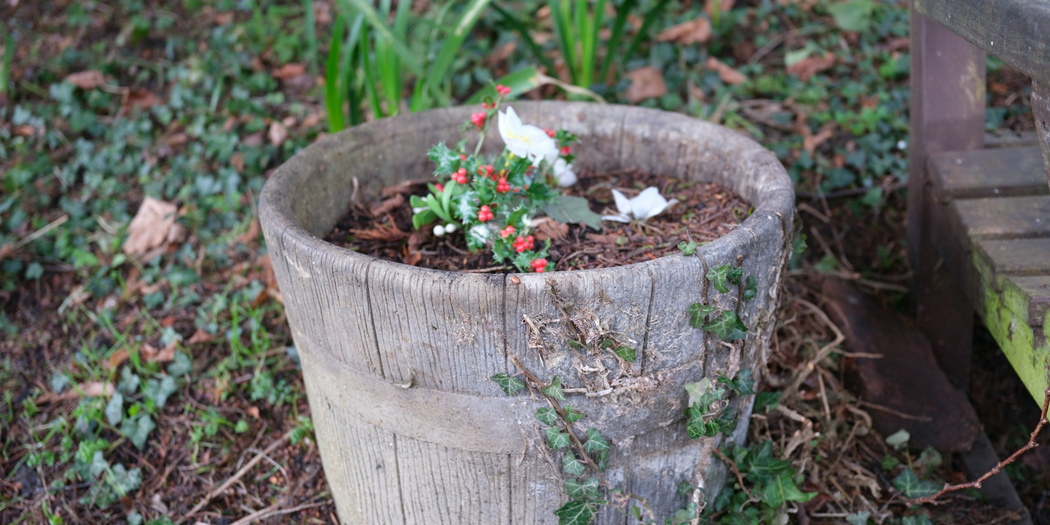 Blocked Garden Drainage Holes Before Winter: What Buyers Should Know