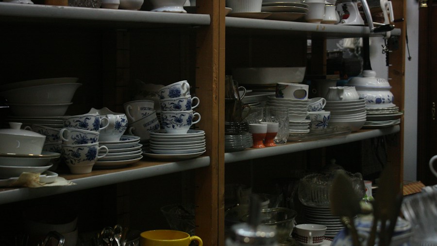 Thrifted Teacup Wall Art Goes Viral: What Shoppers Need to Know Before Creating This DIY Trend 1 thrift store vintage dishware