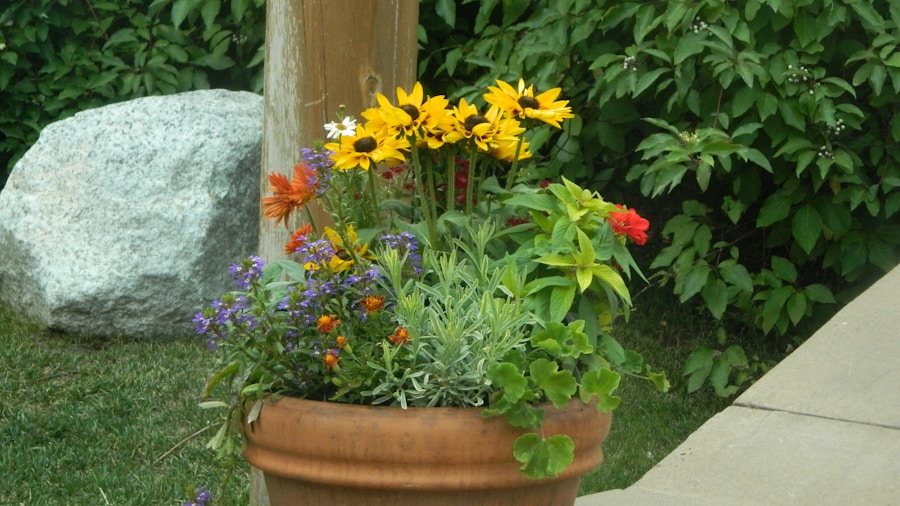 Wisconsin Garden Reaches Peak Summer Color: What Shoppers Should Know About Creating Layered, High-Impact Borders 2 tiered container plants patio arrangement