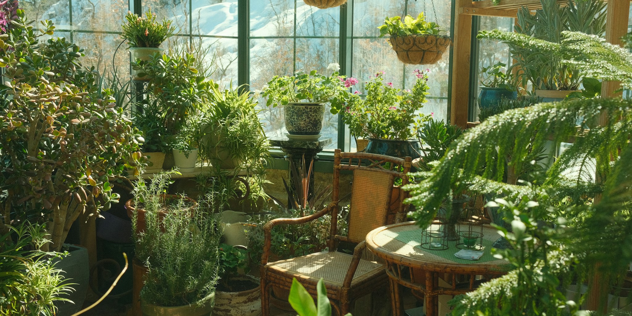 Vertical Greenhouse Design Trends Buyers Need to Know