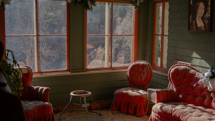 Design Trend Alert: Bold Paint Colors Transform Dark Rental Into Maximalist Haven 1 vintage furniture in sunlit room