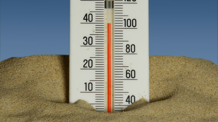 Professional Painters Follow a Dew Point Rule for Exterior Paint Color Success: What You Need to Know 1 weather thermometer temperature check