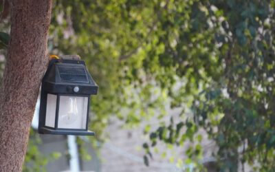 Rare IKEA Apple Lamp Becomes Collector's Treasure