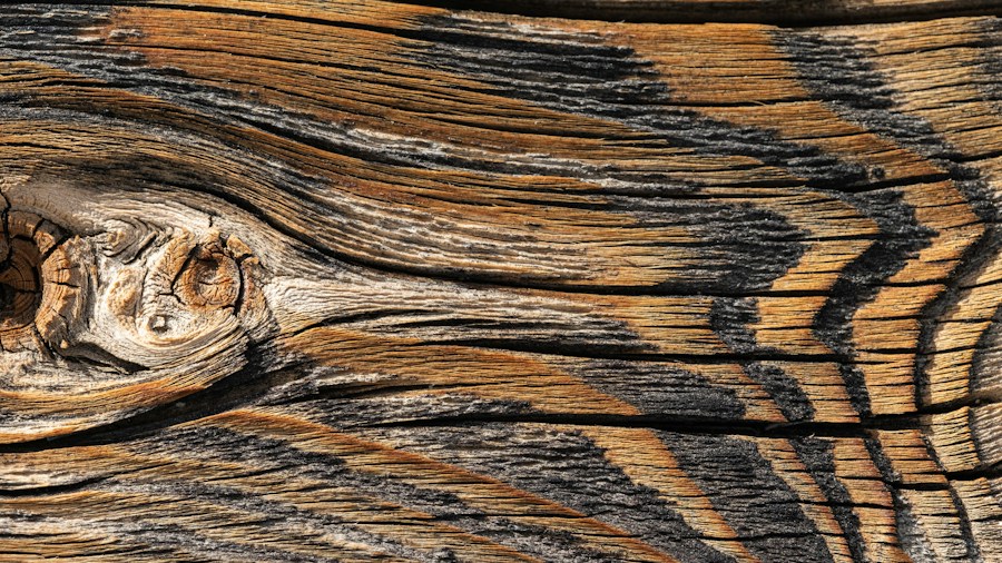 wood knot grain close up